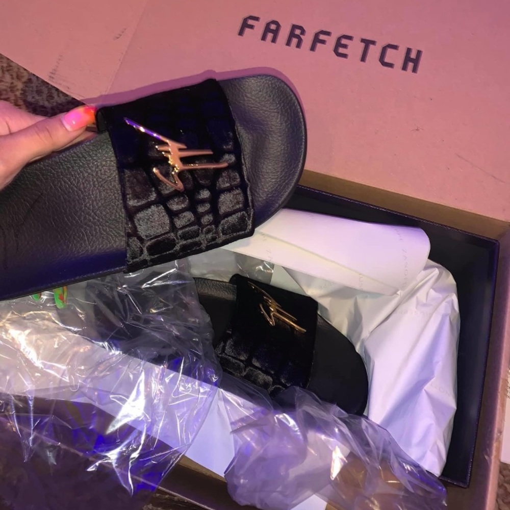 Giuseppe zanotti slides